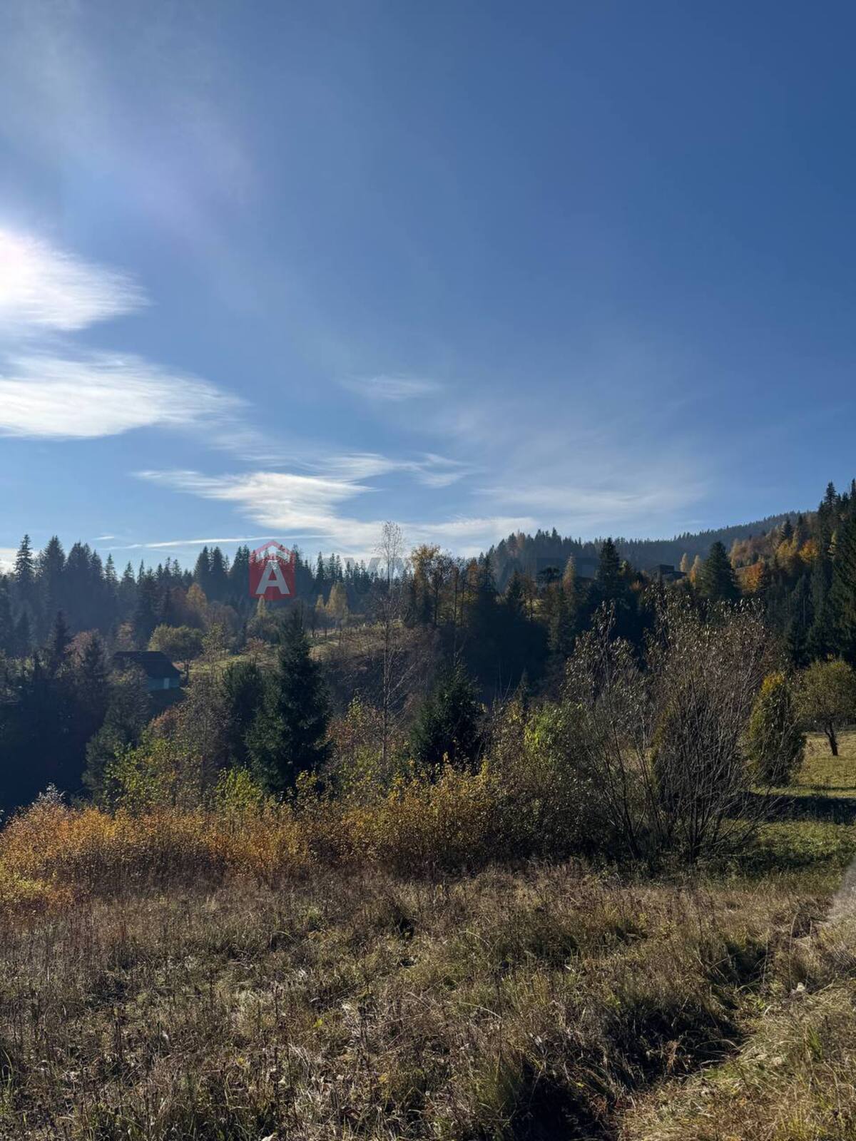 �������� ������ ���� 5