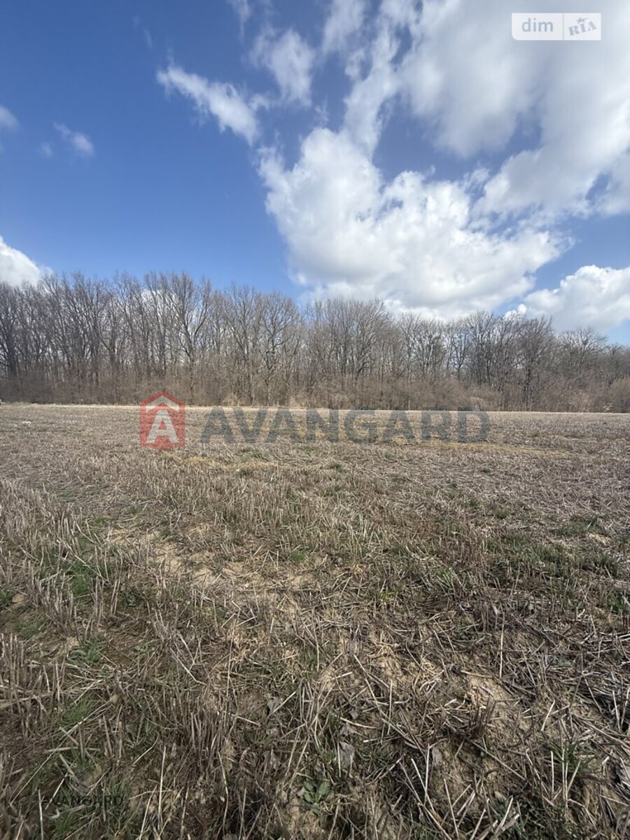 �������� ������ ���� 2