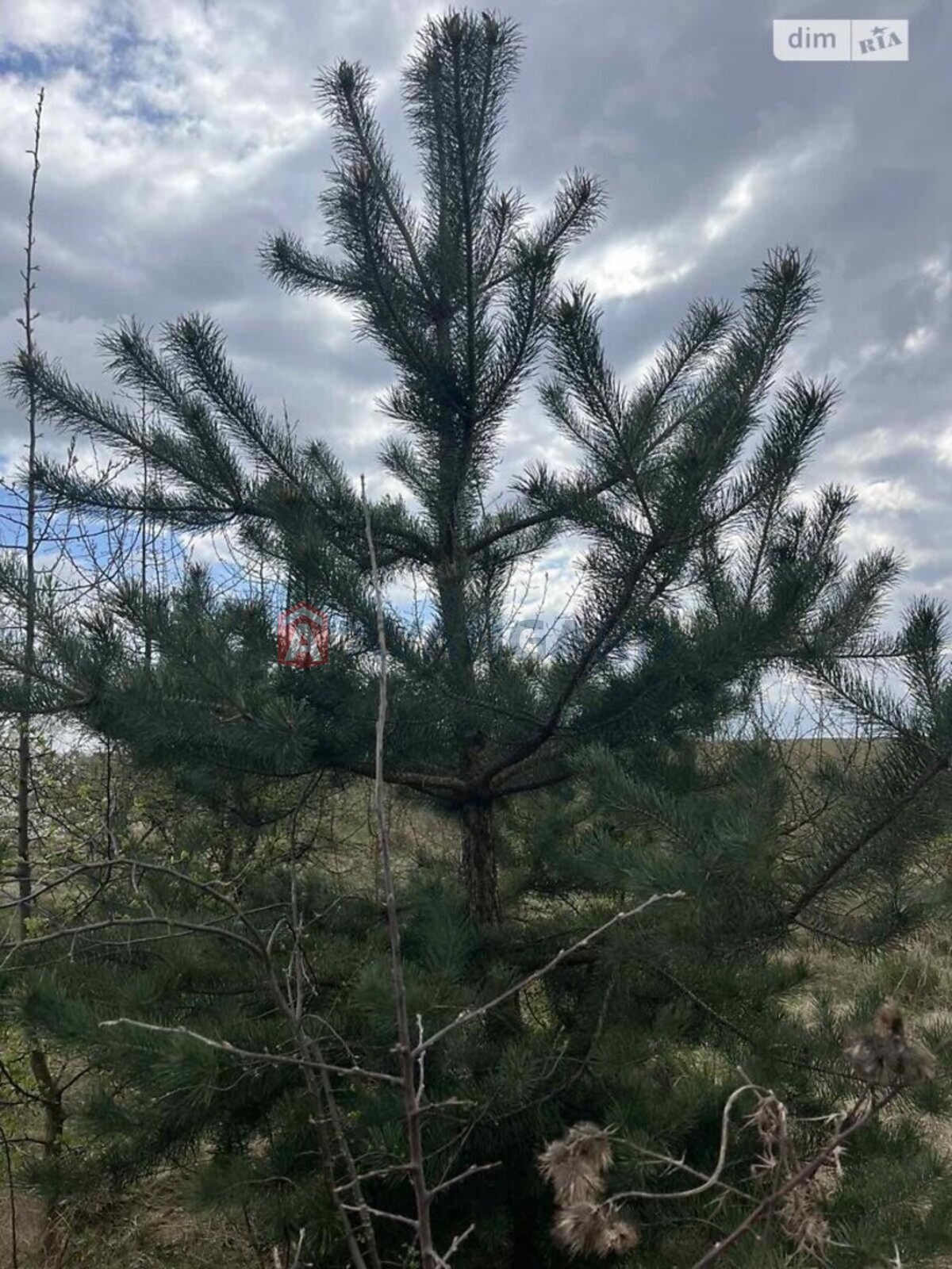 �������� ������ ���� 3