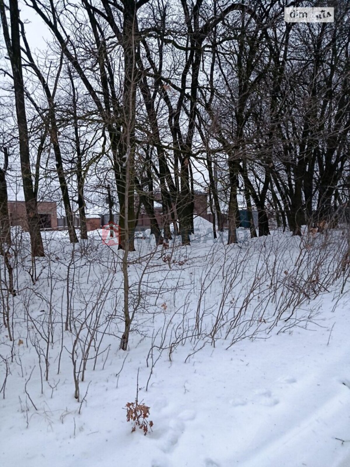 �������� ������ ���� 4