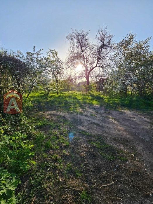 �������� ������ ���� 1