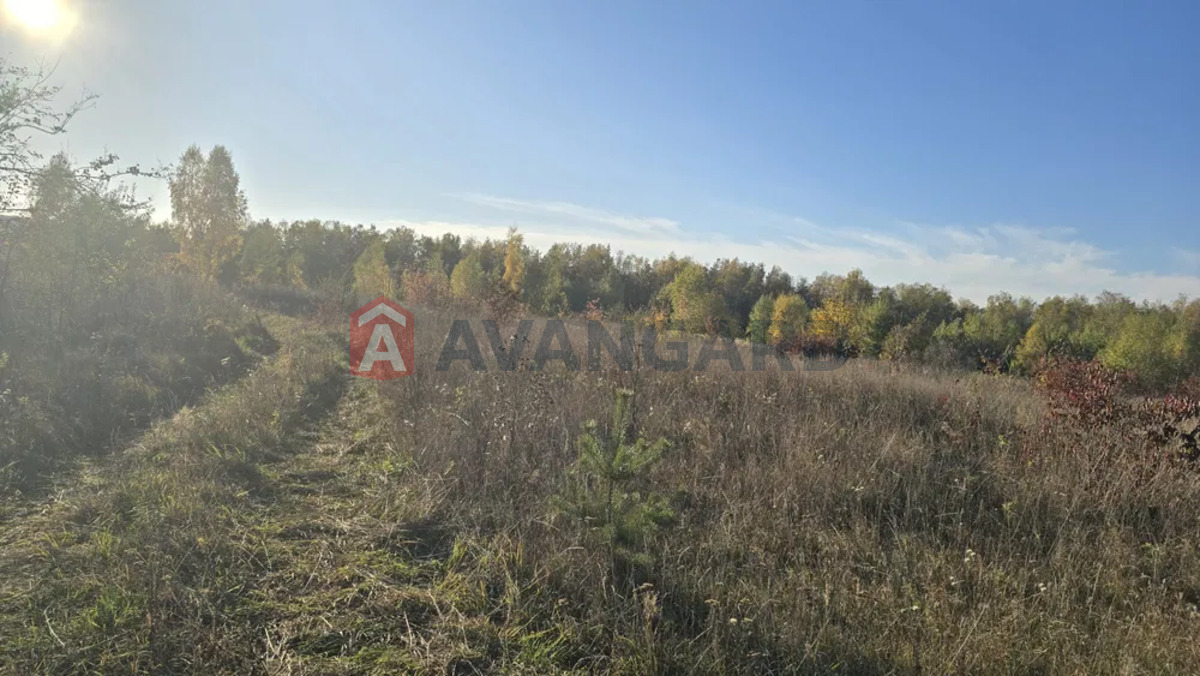 �������� ������ ���� 1