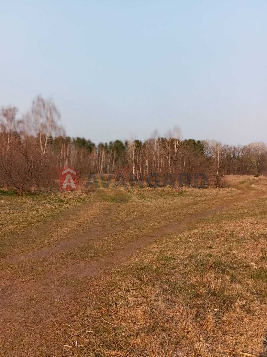 �������� ������ ���� 5