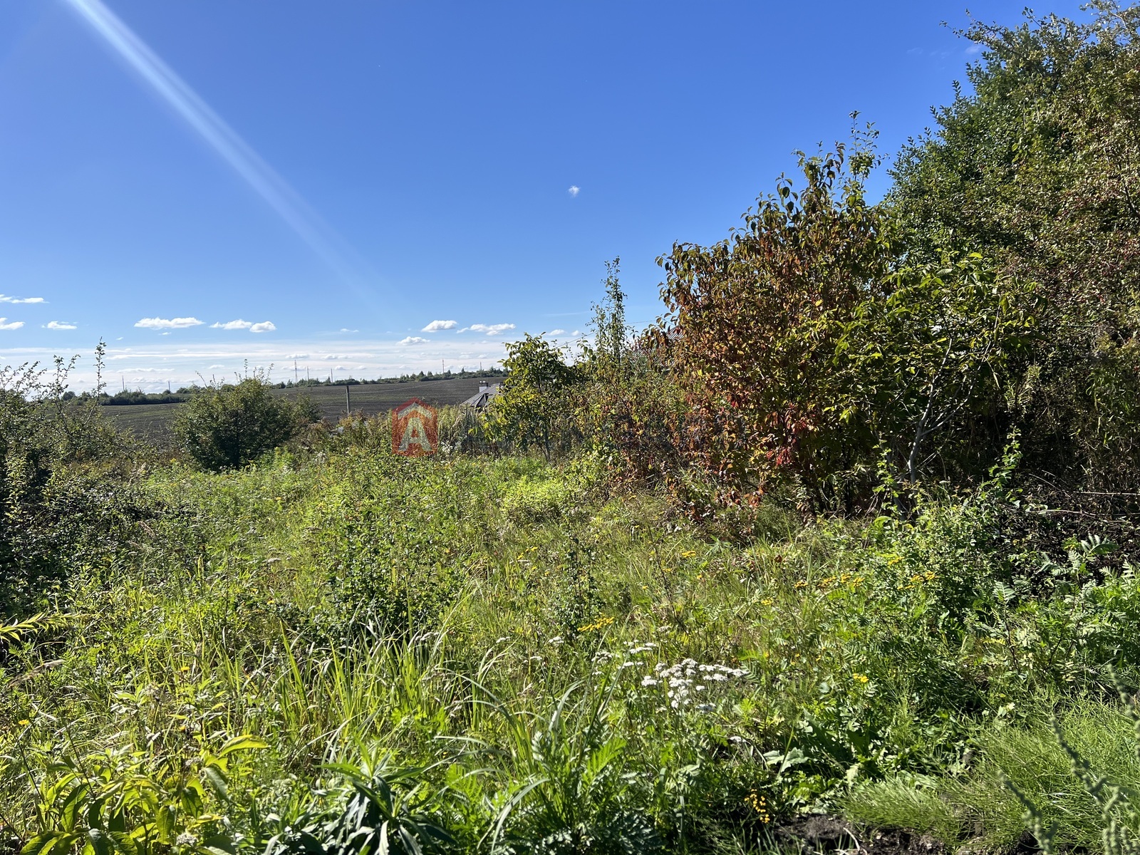 �������� ������ ���� 2