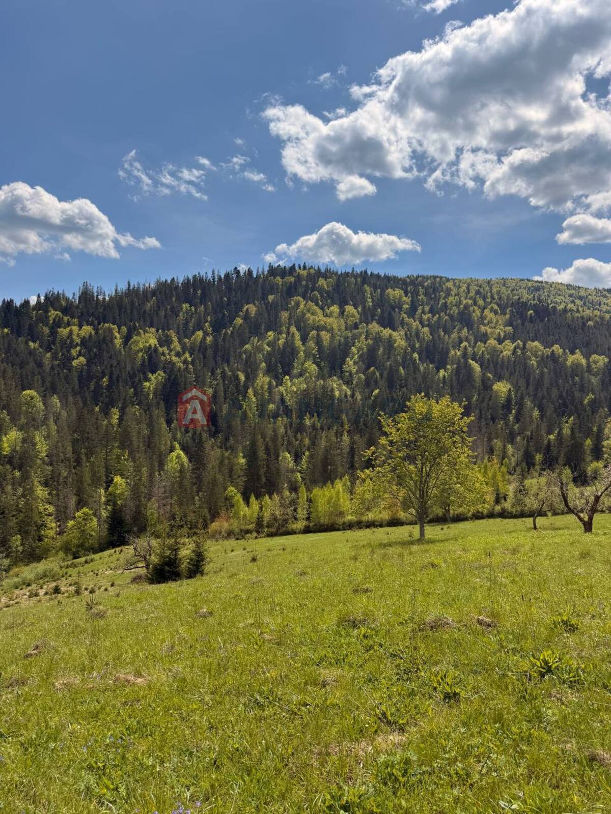 �������� ������ ���� 8