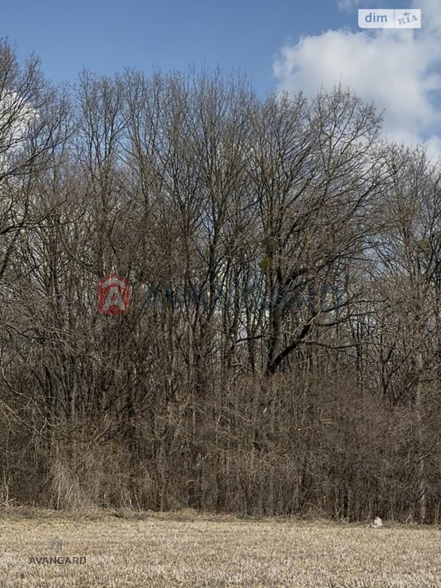 �������� ������ ���� 9