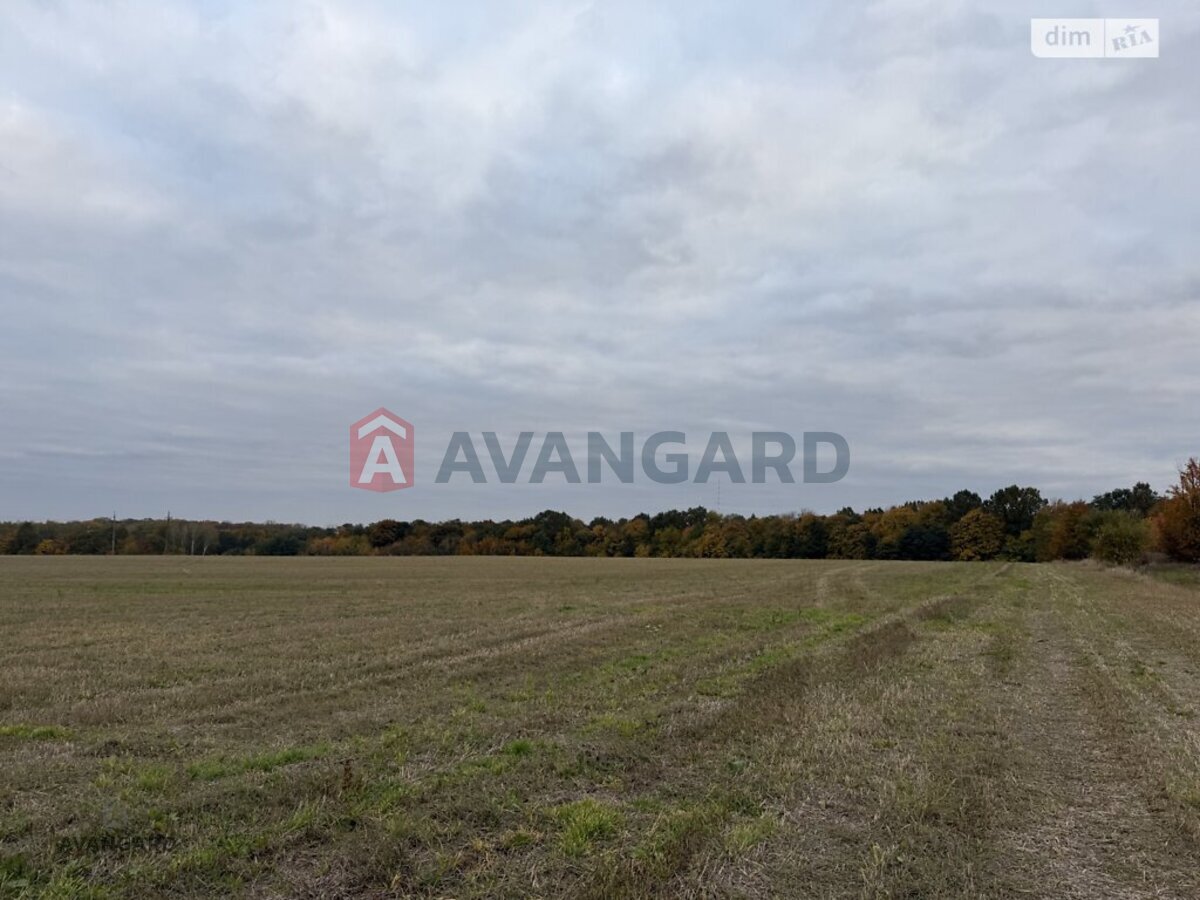 �������� ������ ���� 4