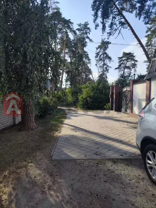 �������� ������ ���� 3