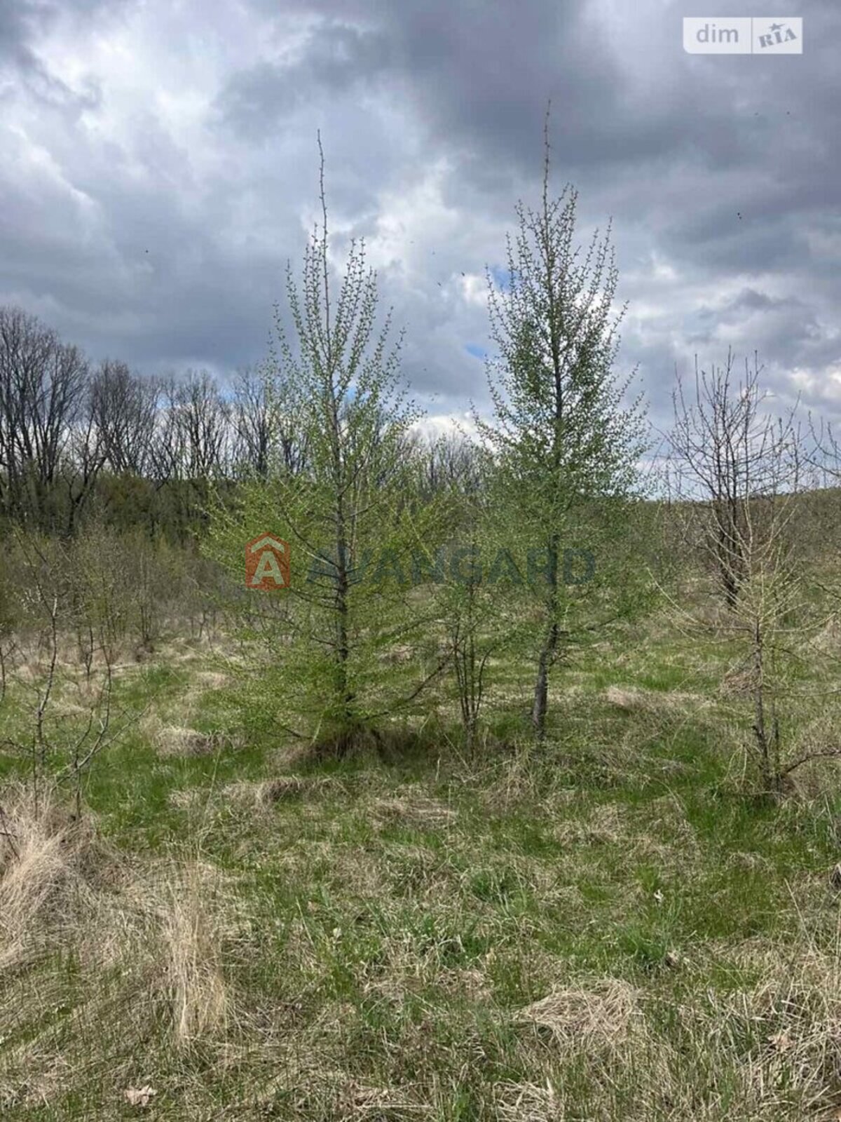 �������� ������ ���� 4