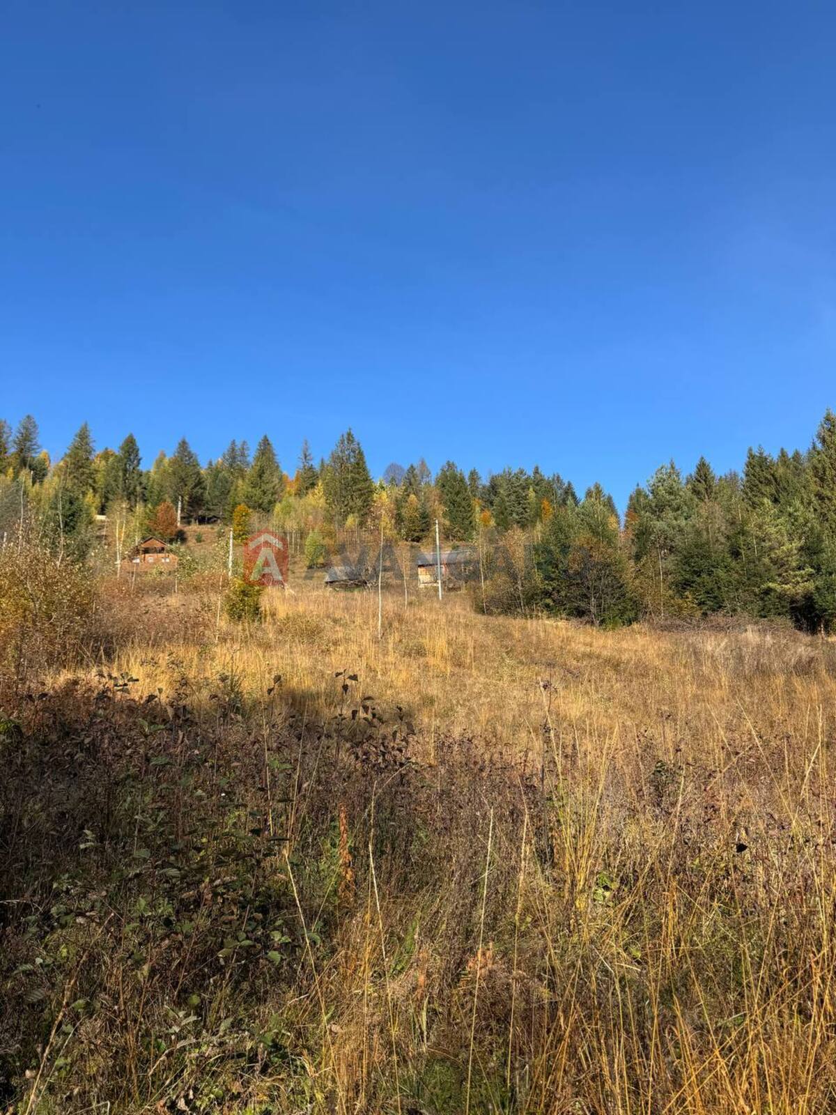 �������� ������ ���� 6