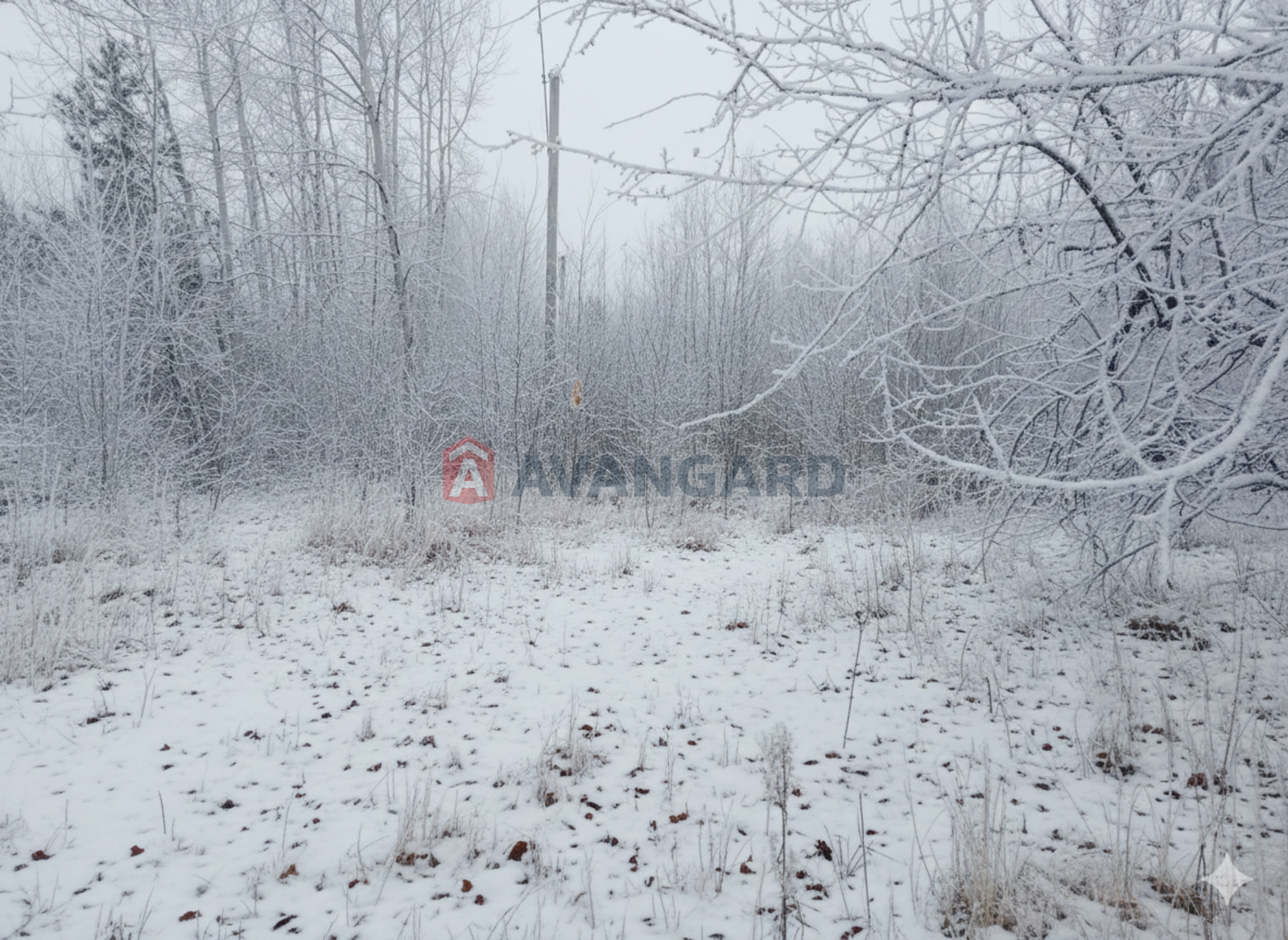 �������� ������ ���� 9