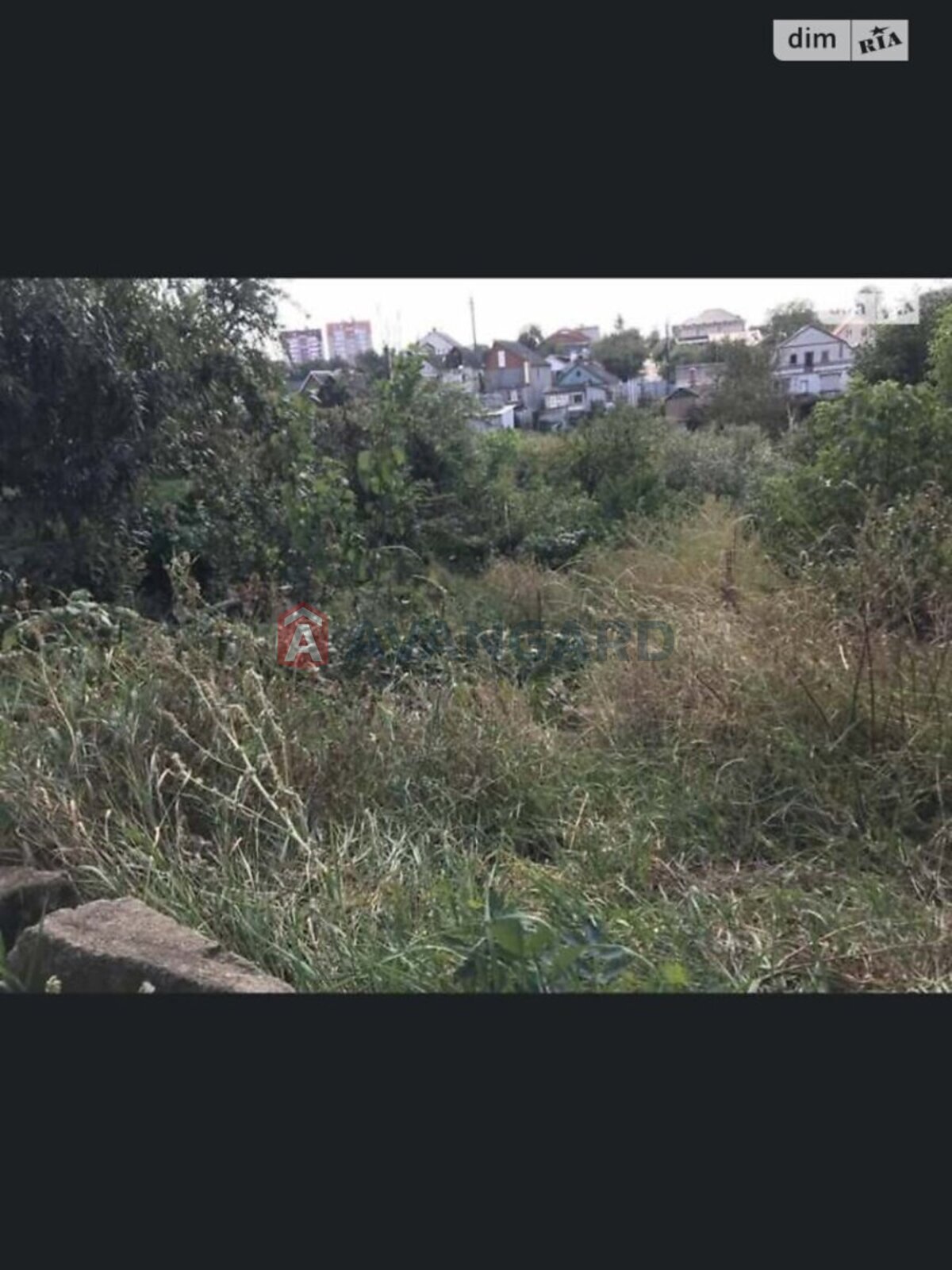 �������� ������ ���� 13