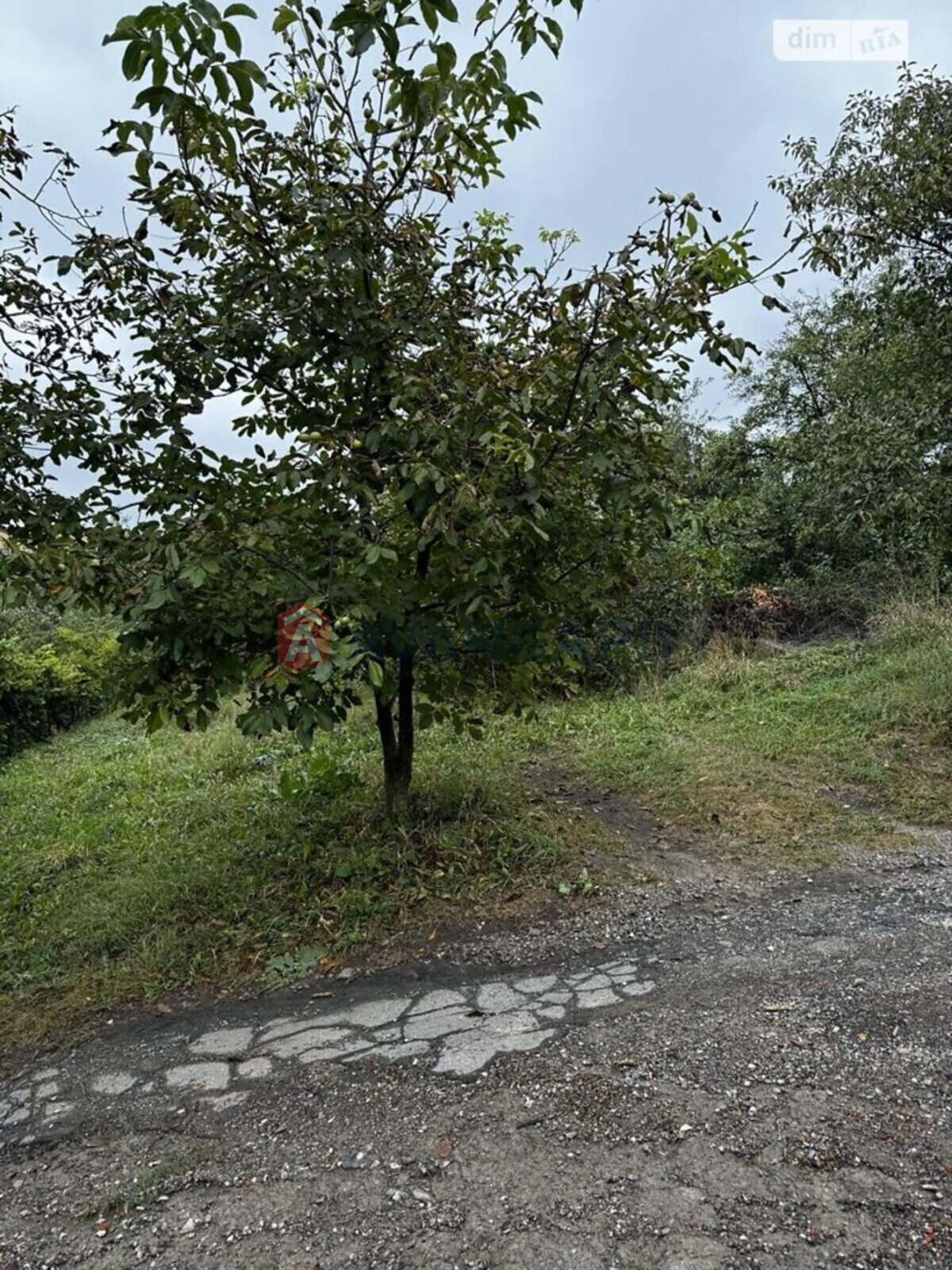 �������� ������ ���� 11