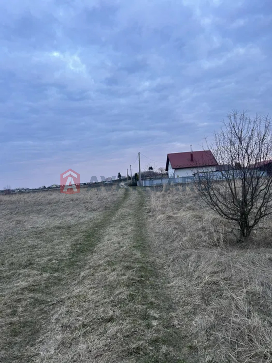 �������� ������ ���� 3