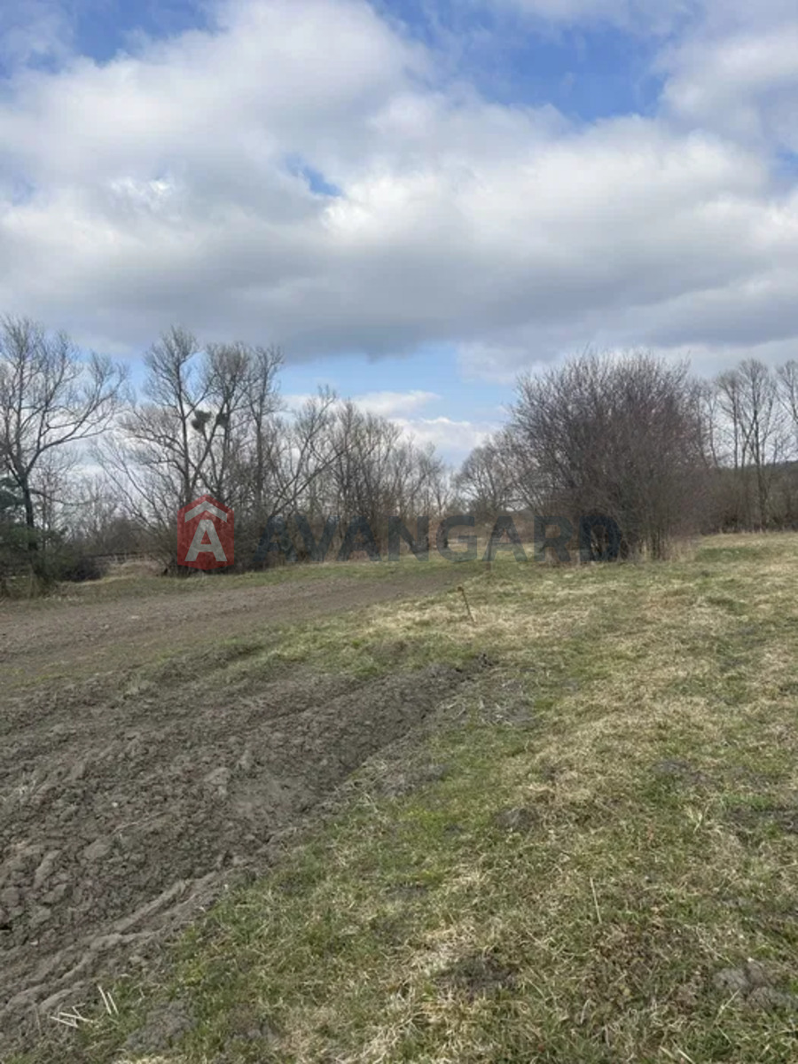 �������� ������ ���� 7