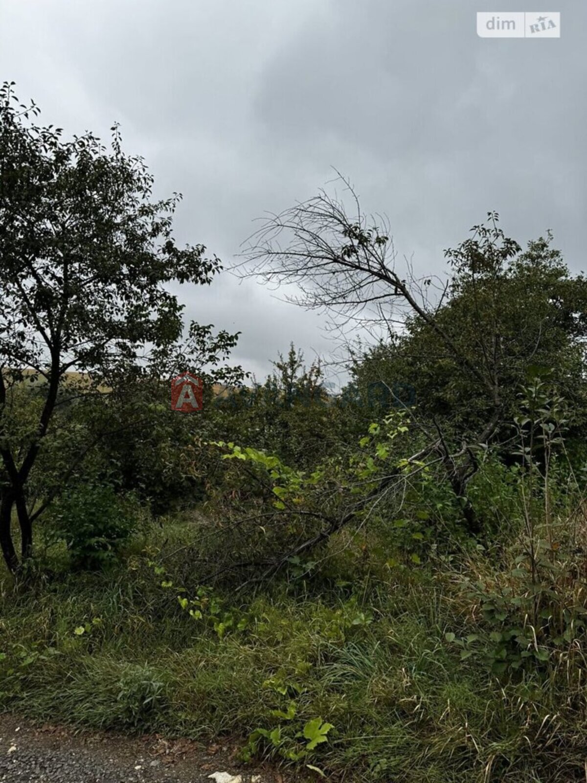 �������� ������ ���� 10