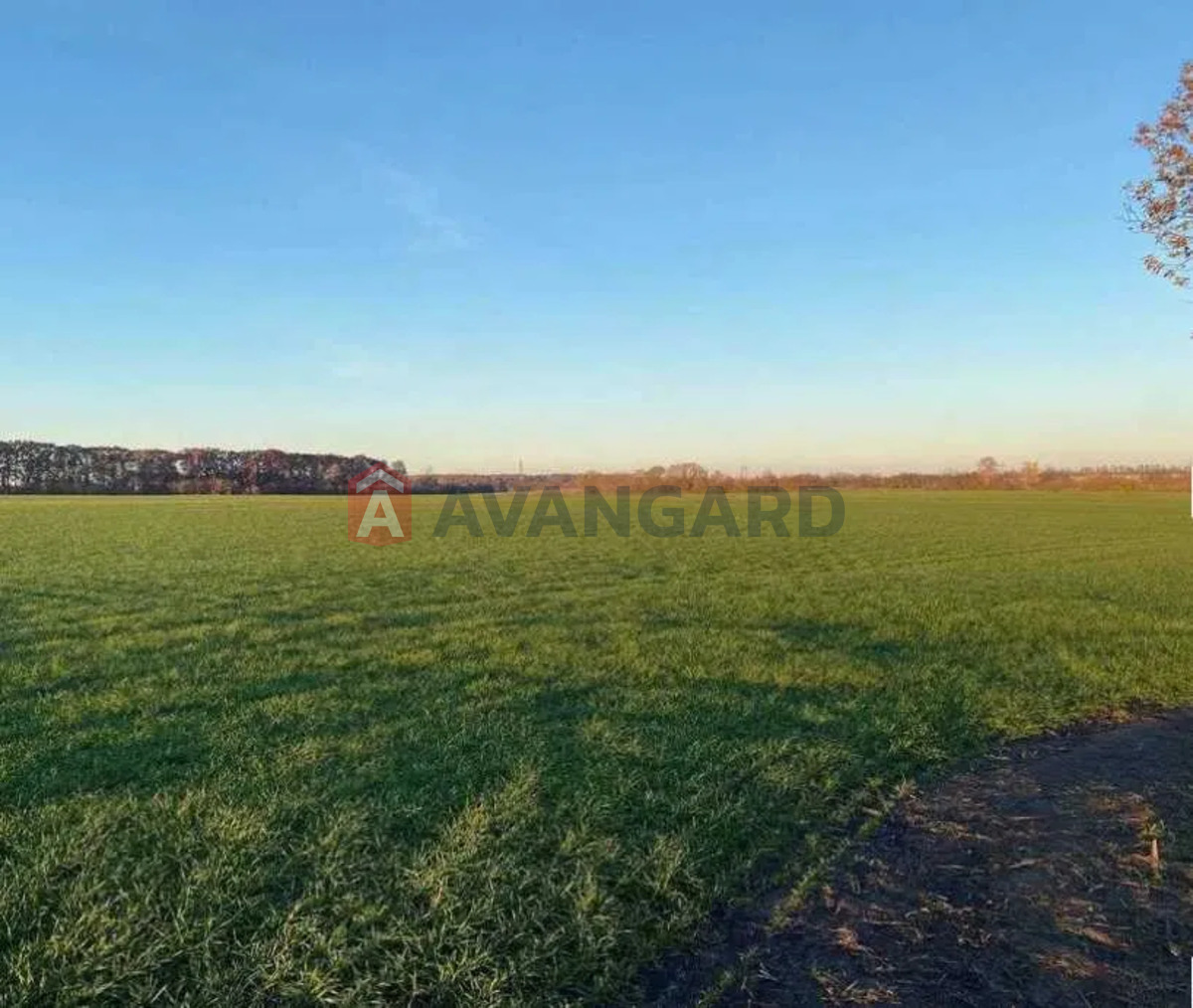 ��������� ������� ���� 4