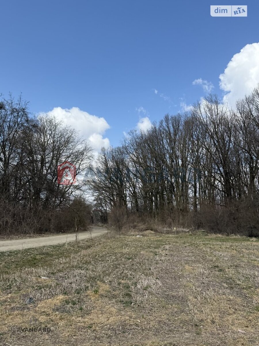 �������� ������ ���� 7