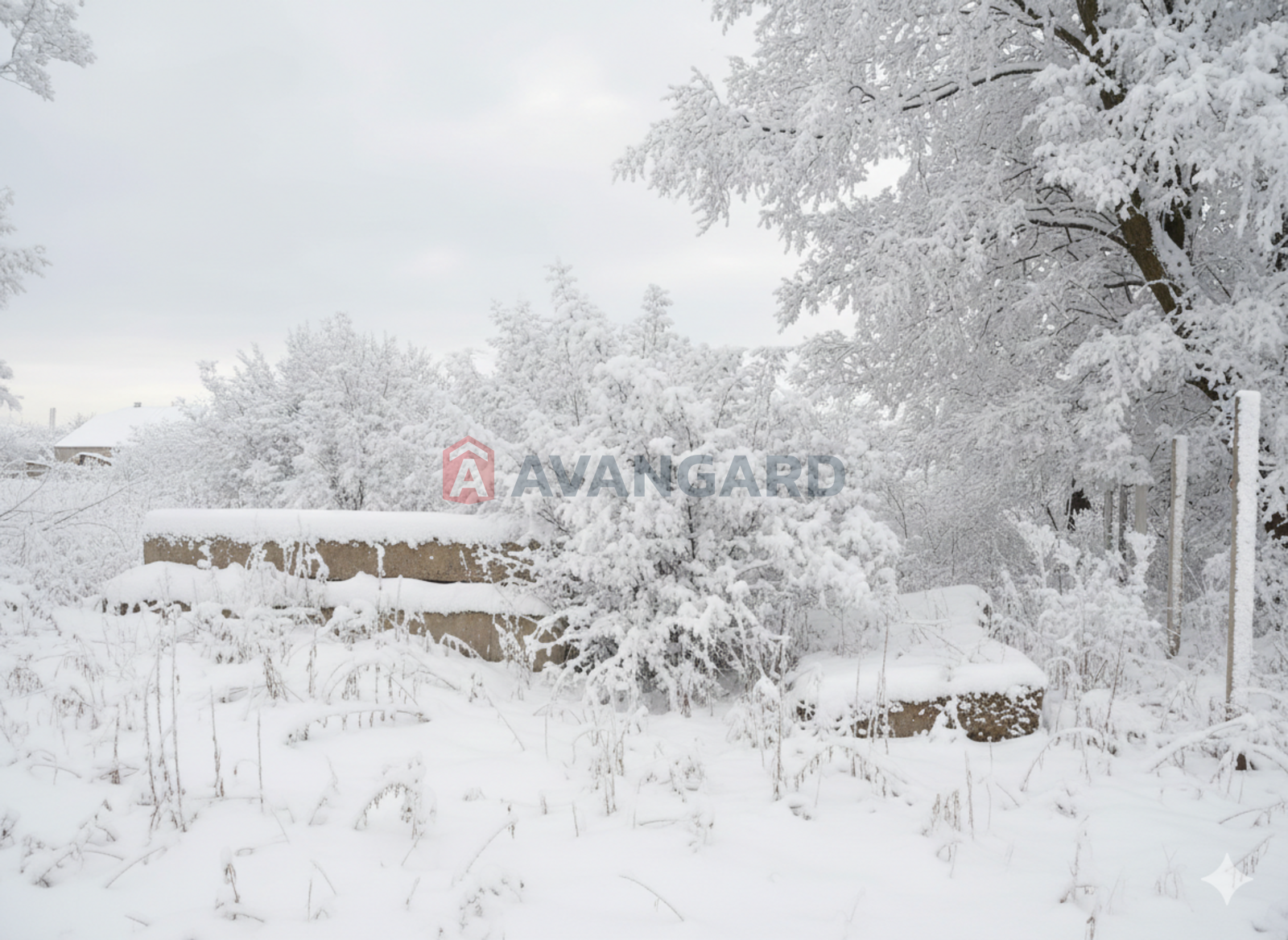 �������� ������ ���� 5