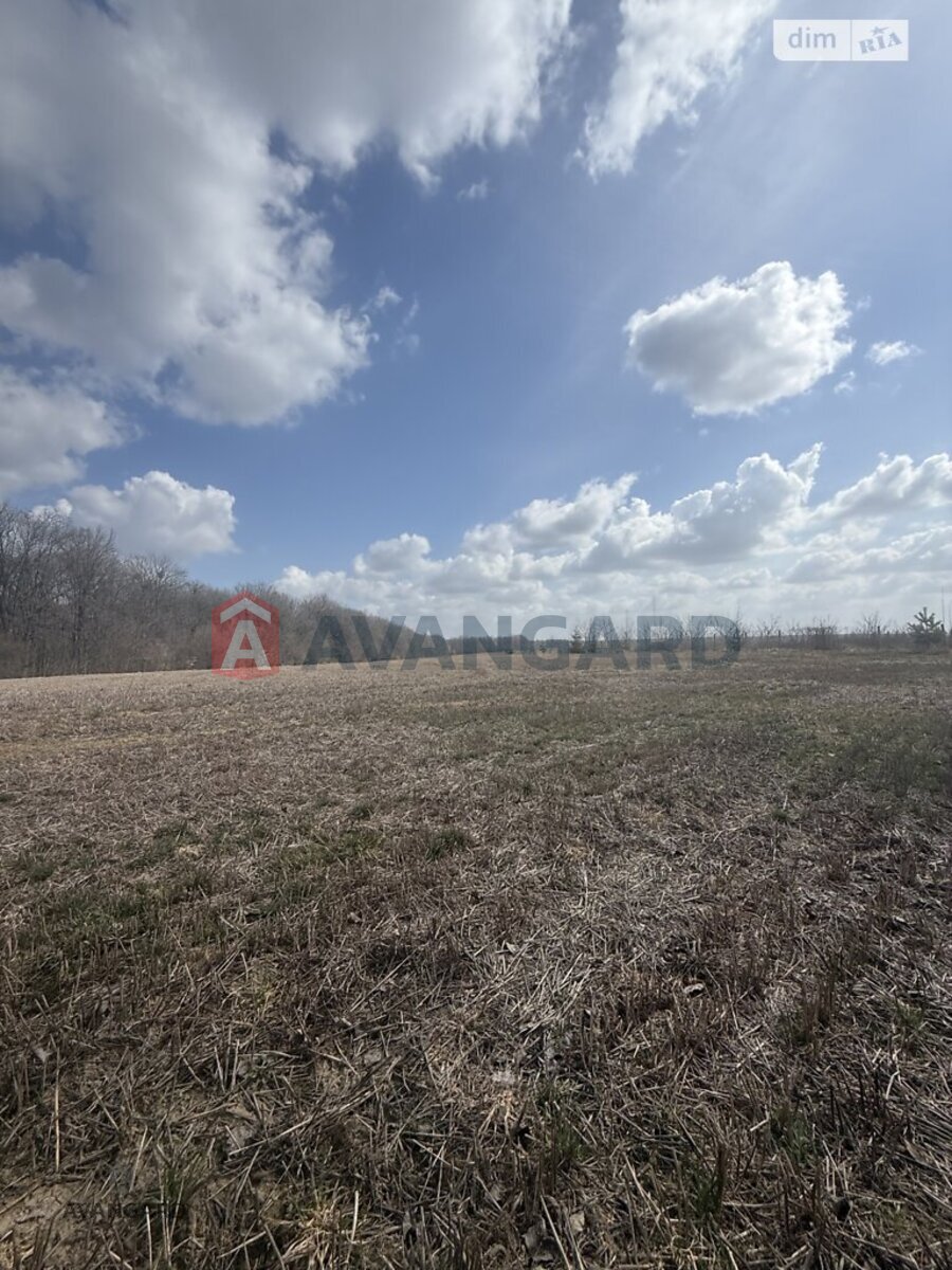 �������� ������ ���� 3