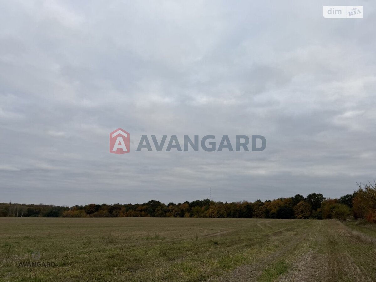 �������� ������ ���� 5