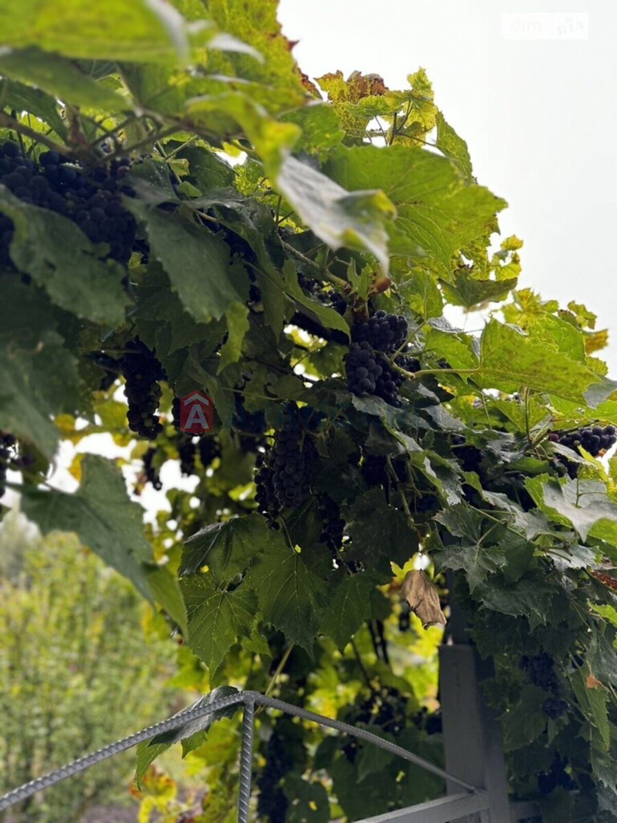 �������� ������ ���� 8