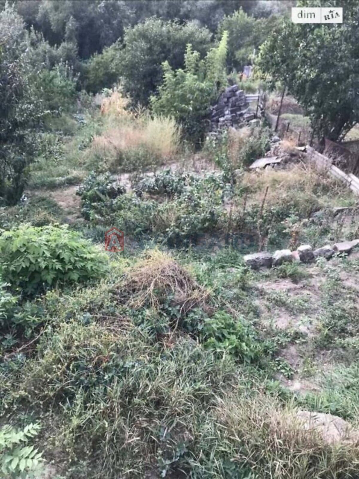 �������� ������ ���� 8