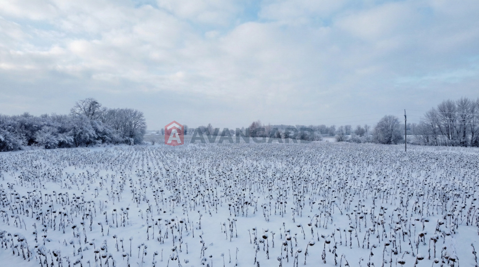 �������� ������ ���� 4