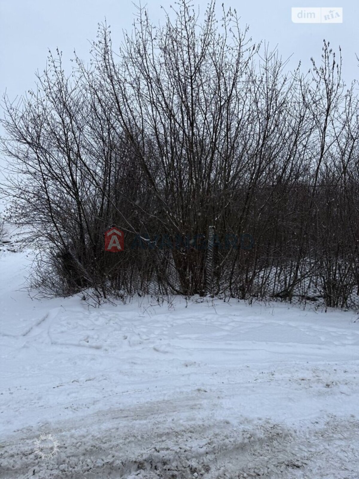 �������� ������ ���� 4