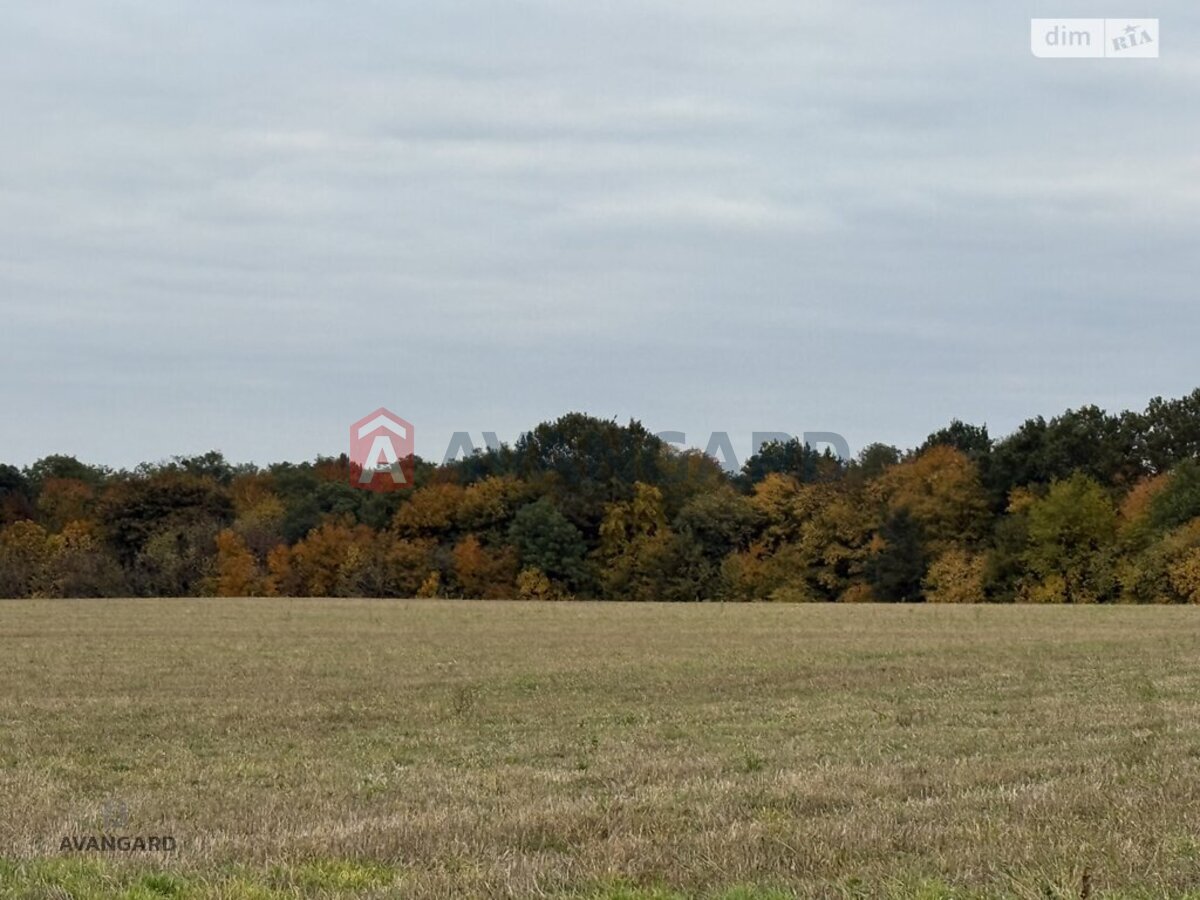 �������� ������ ���� 6