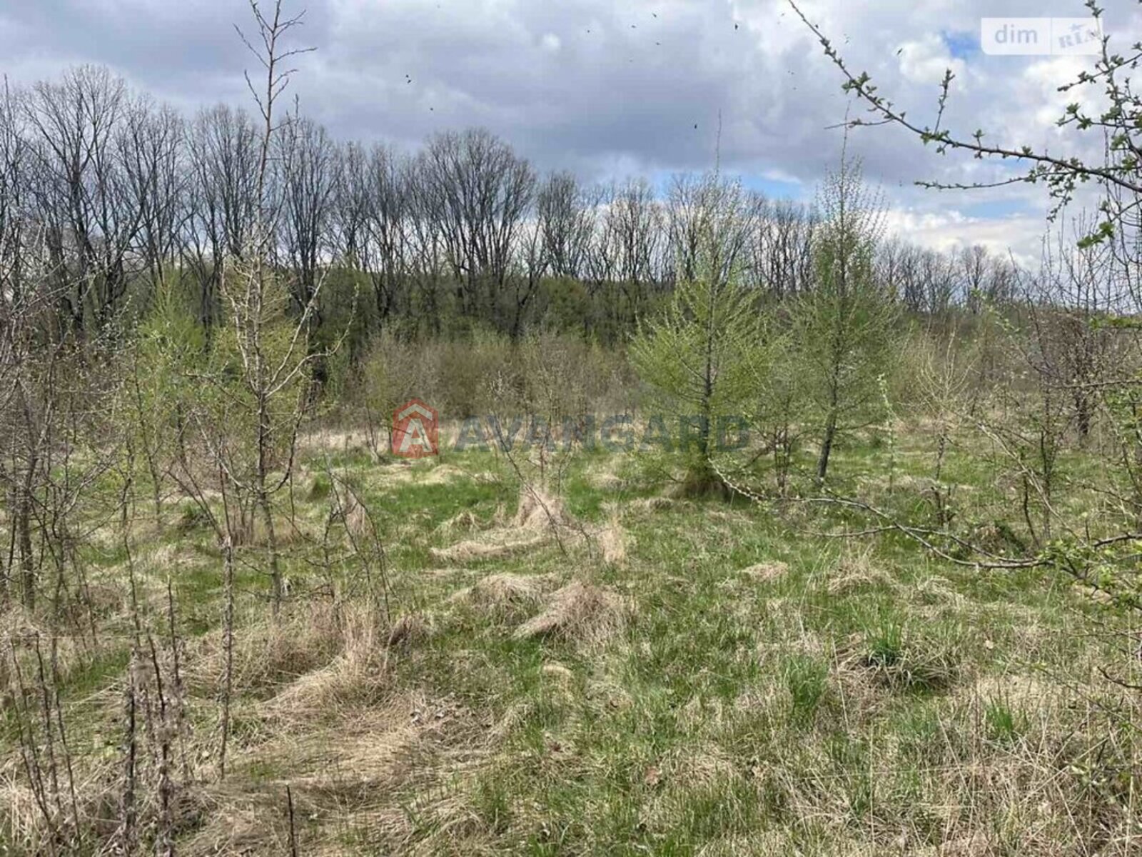 �������� ������ ���� 1