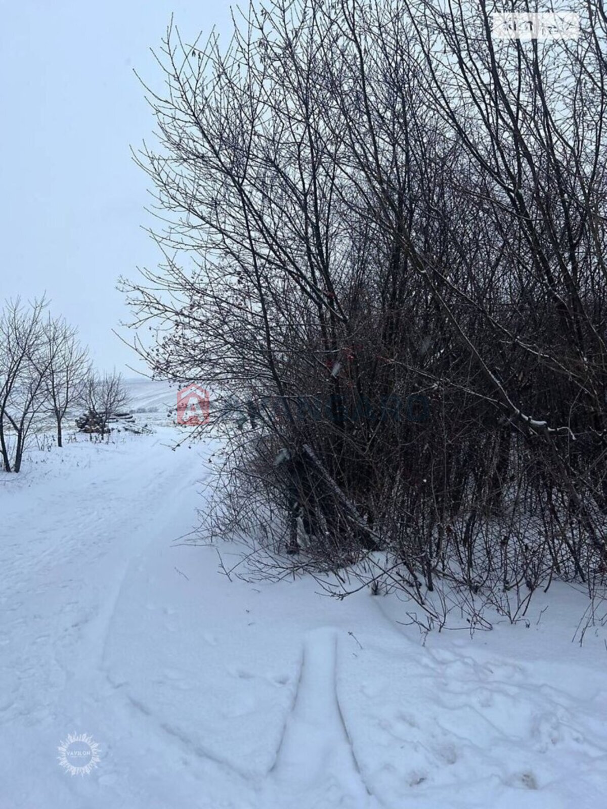 �������� ������ ���� 3