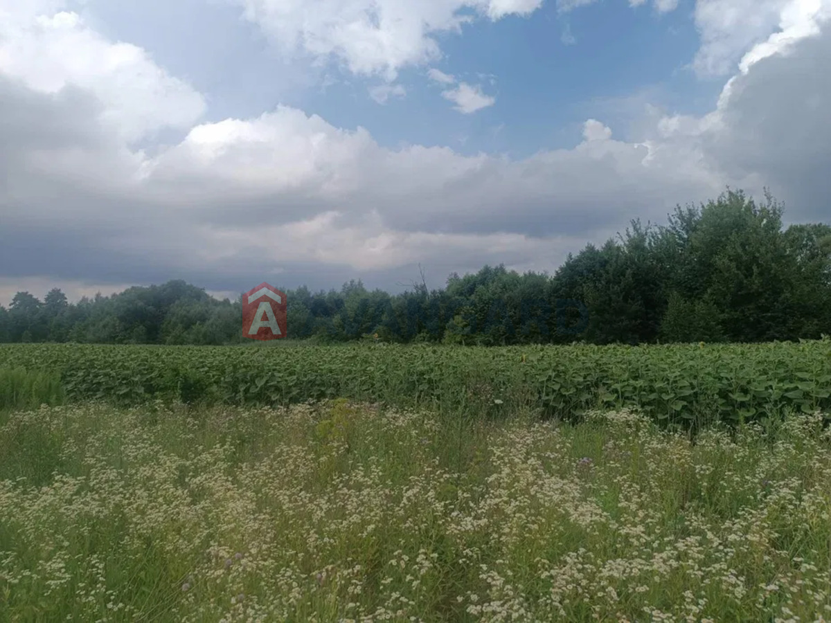 ��������� ������� ���� 2