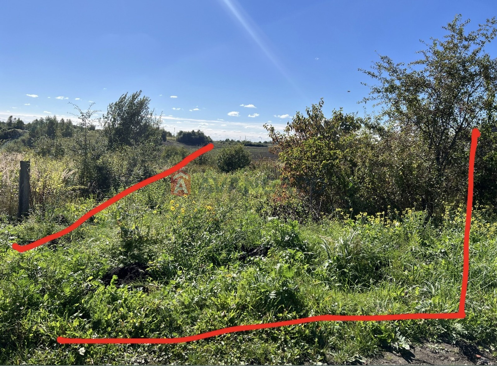 �������� ������ ���� 6