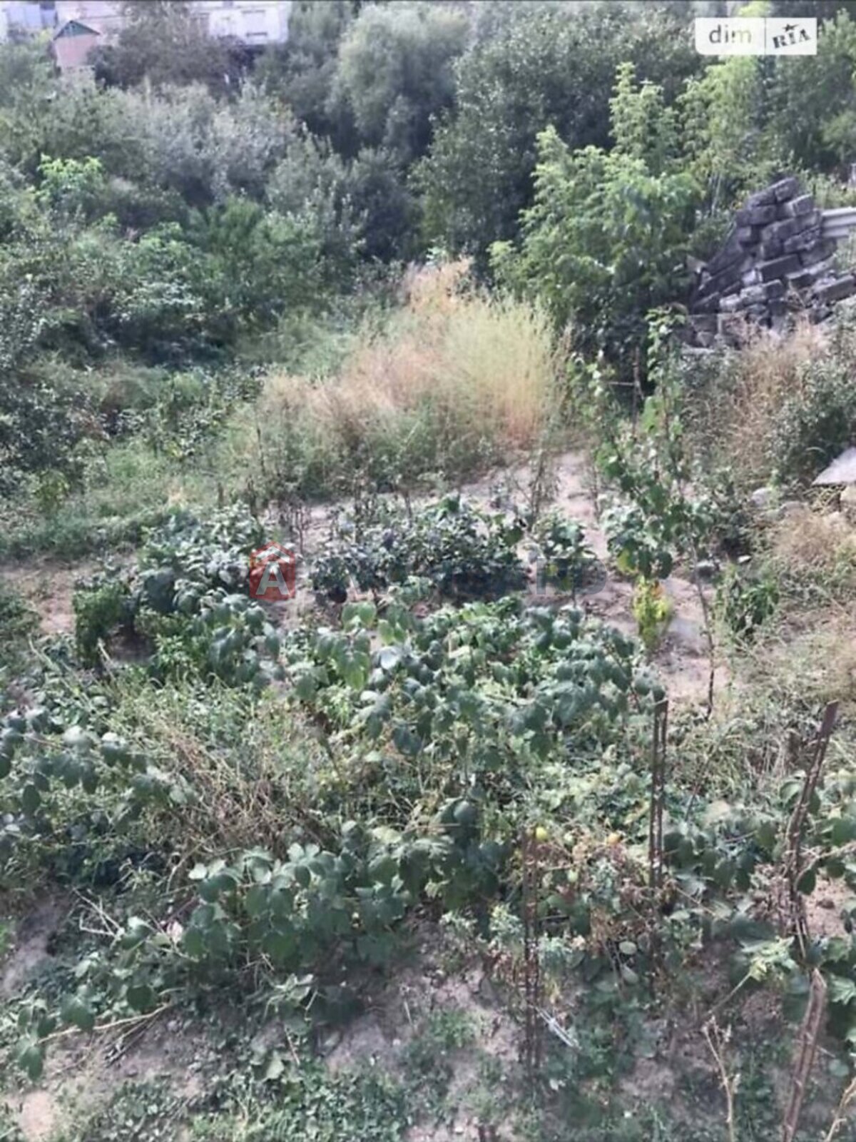 �������� ������ ���� 5