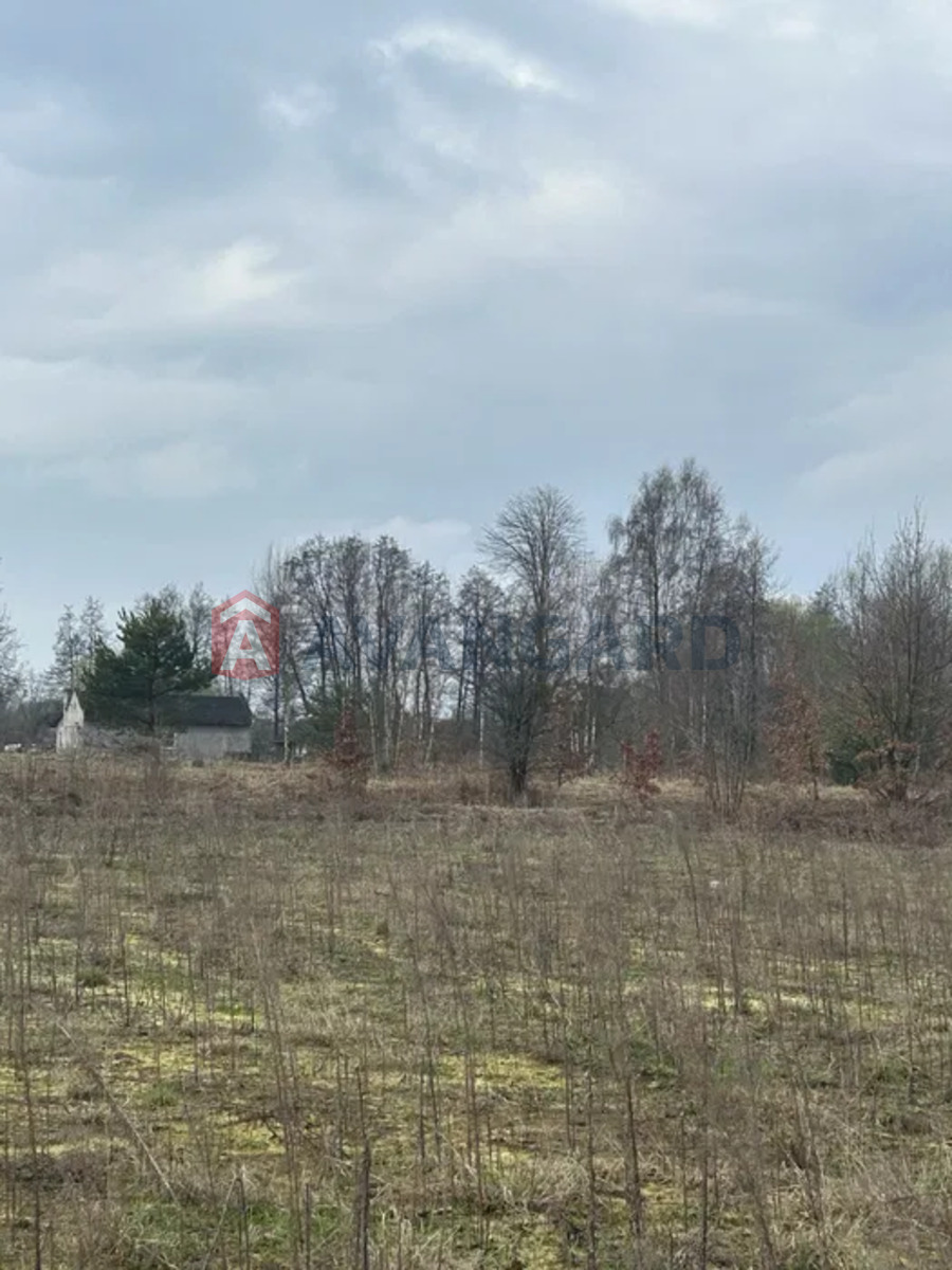 �������� ������ ���� 5