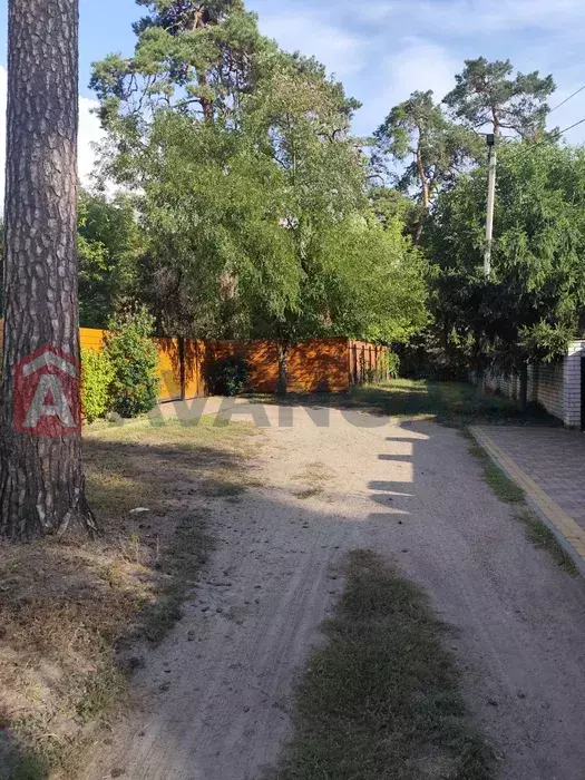 �������� ������ ���� 5