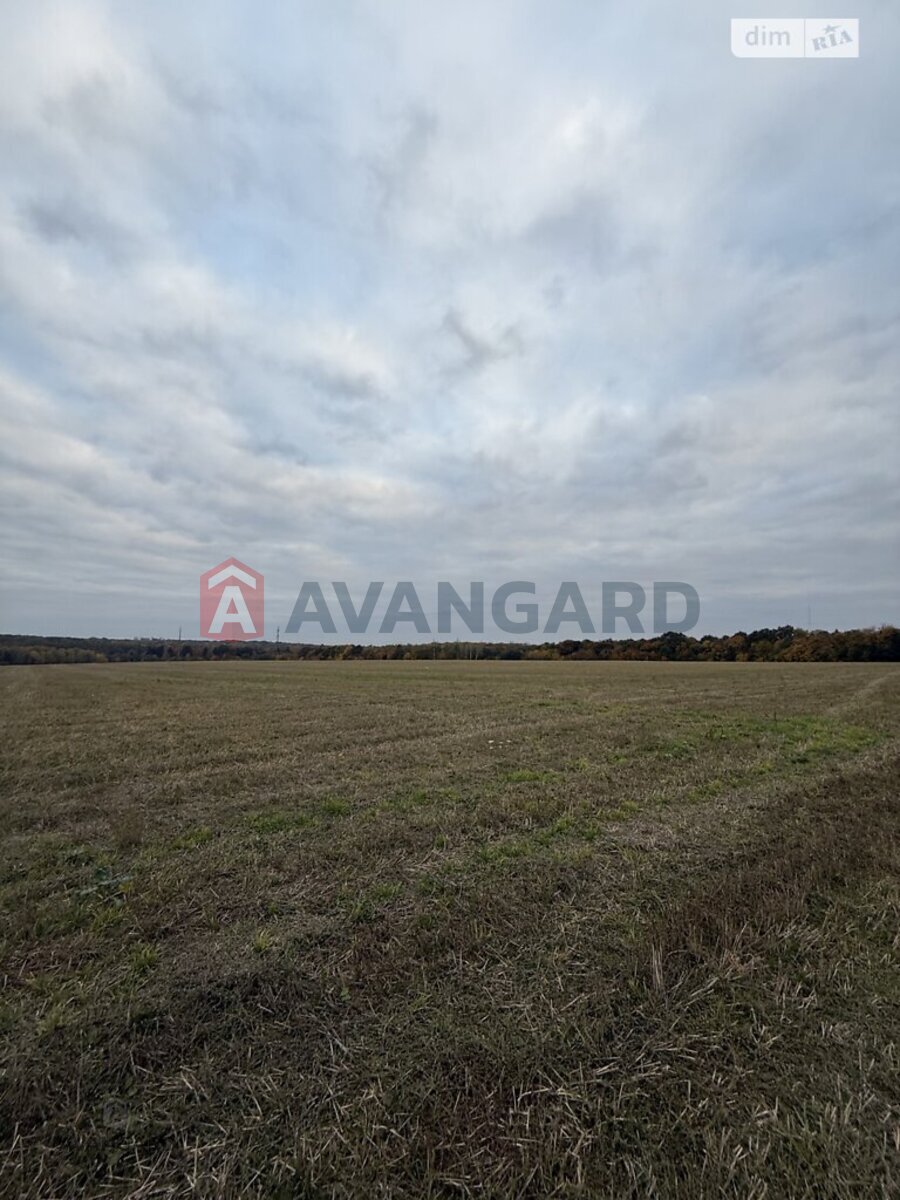 �������� ������ ���� 3