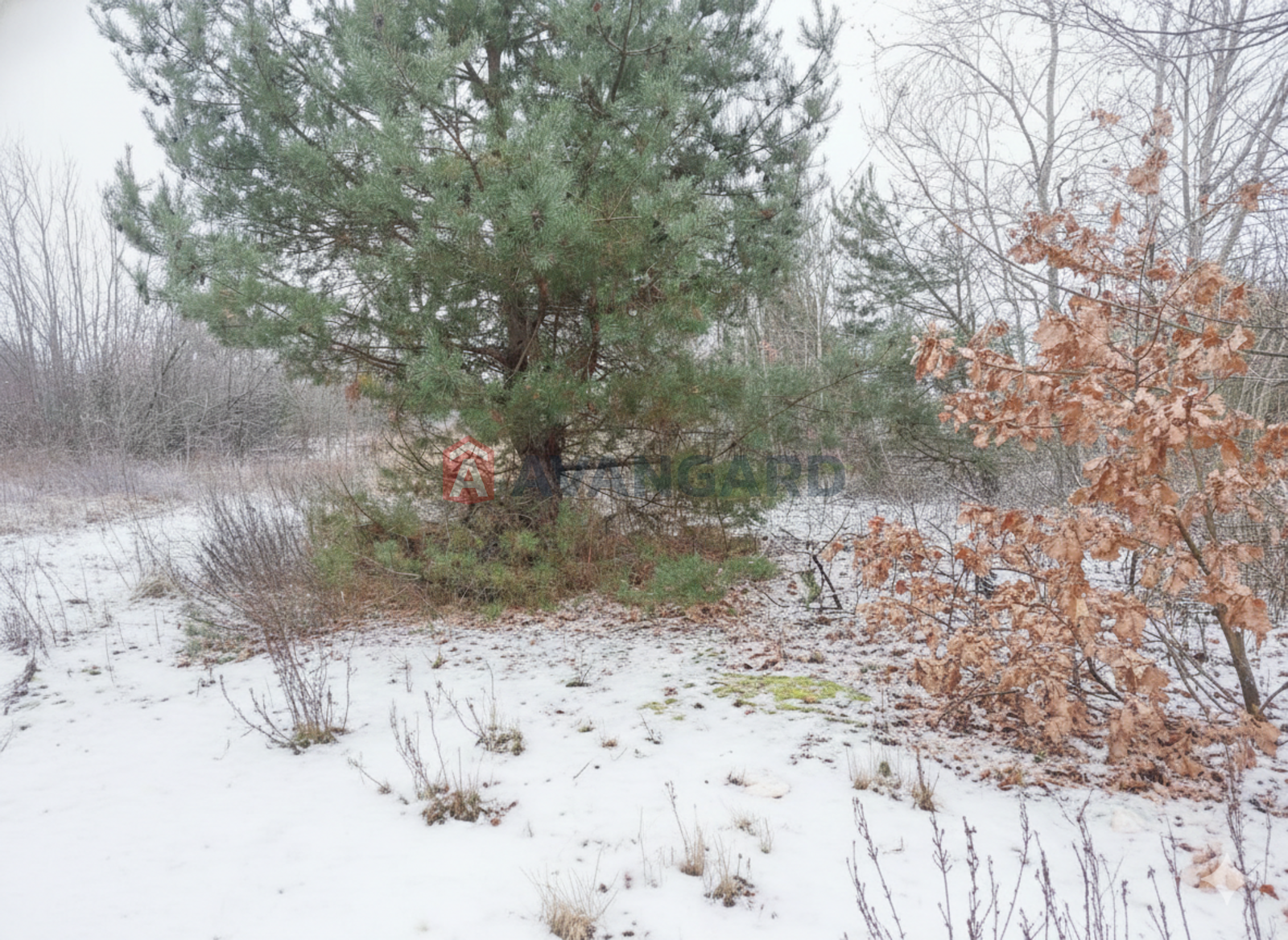 �������� ������ ���� 7