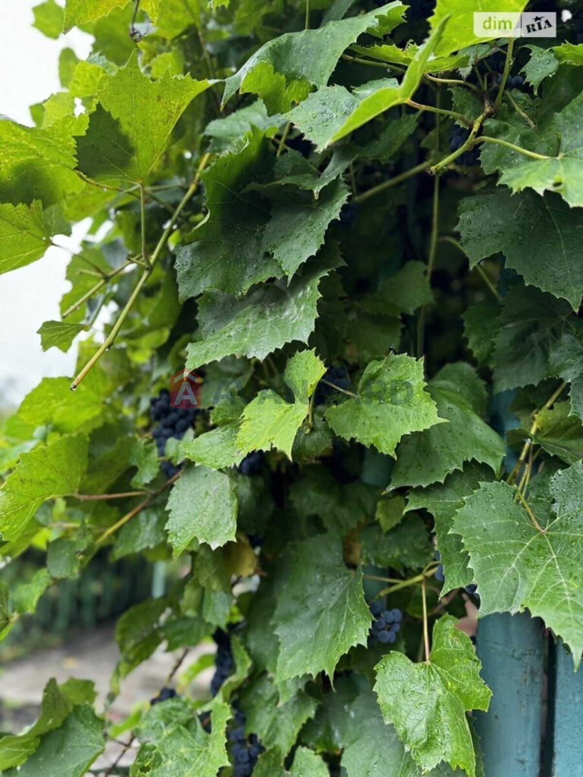 �������� ������ ���� 2