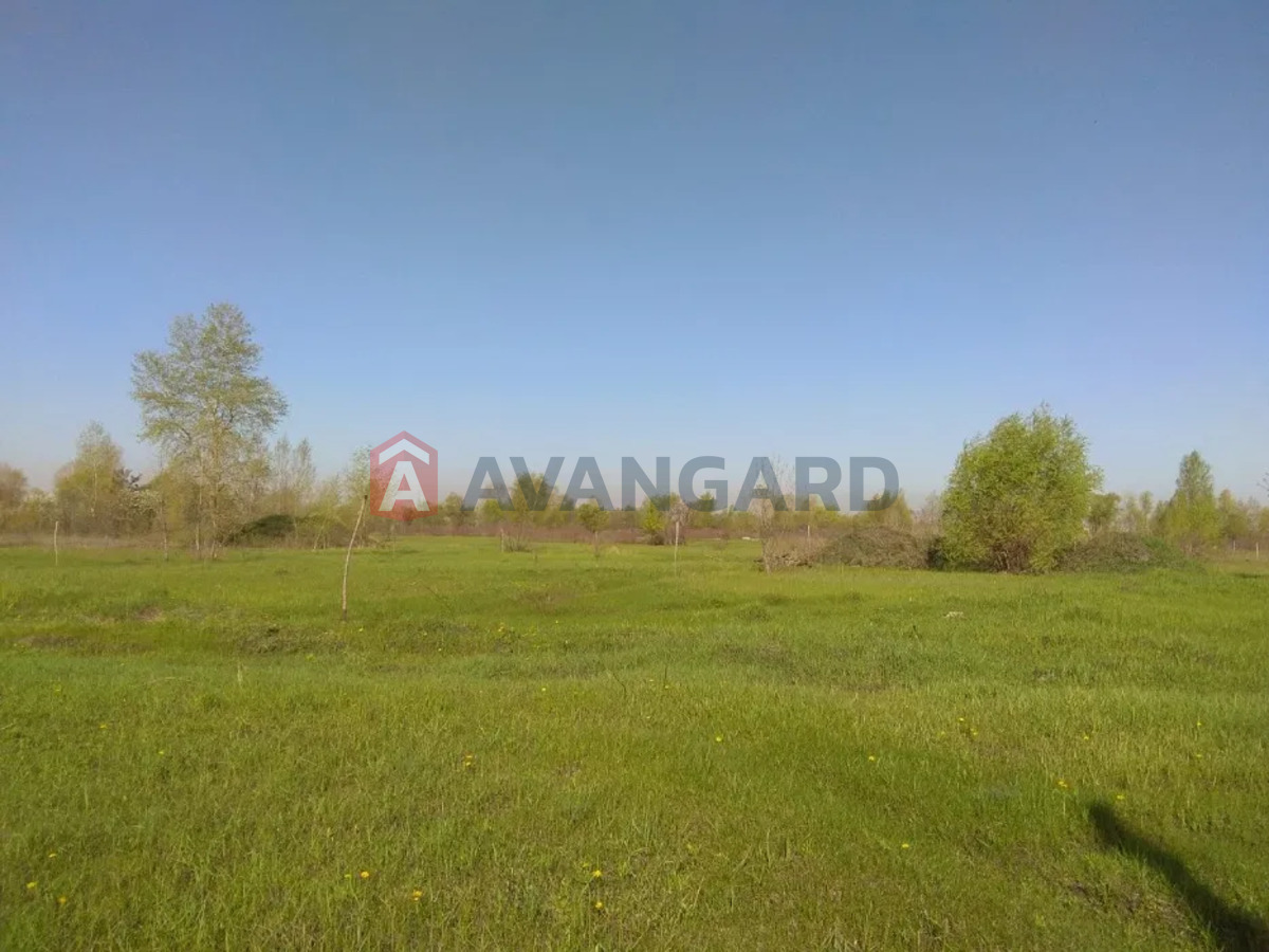 �������� ������ ���� 6