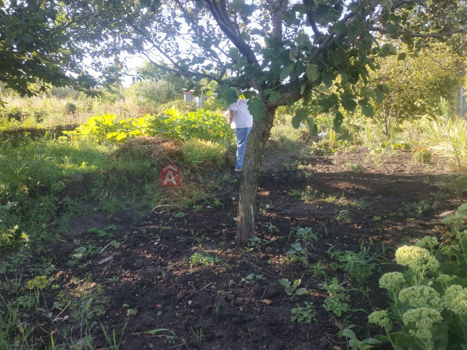 �������� ������ ���� 6