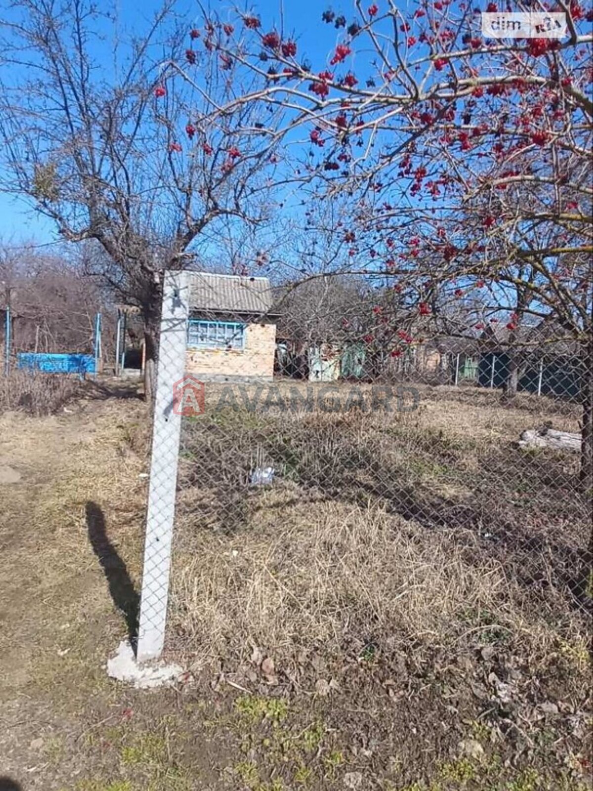 �������� ������ ���� 6