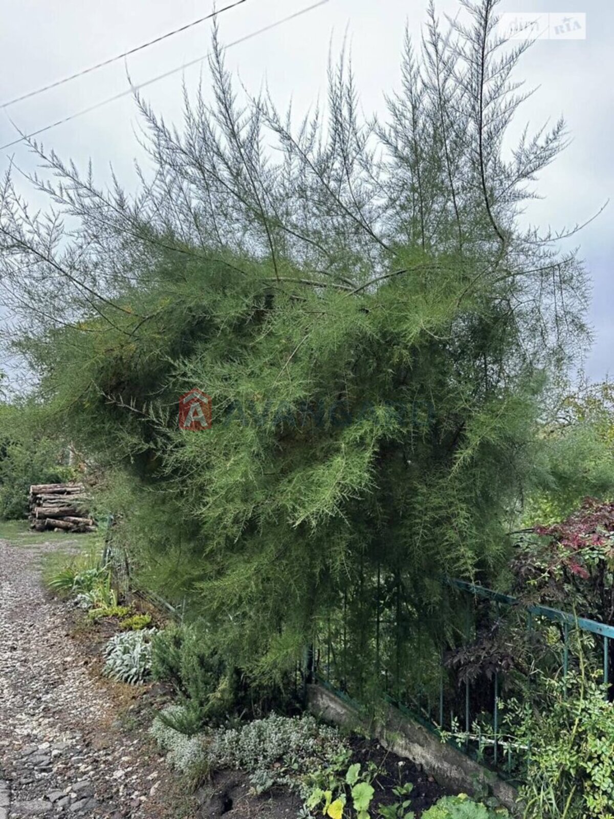 �������� ������ ���� 5