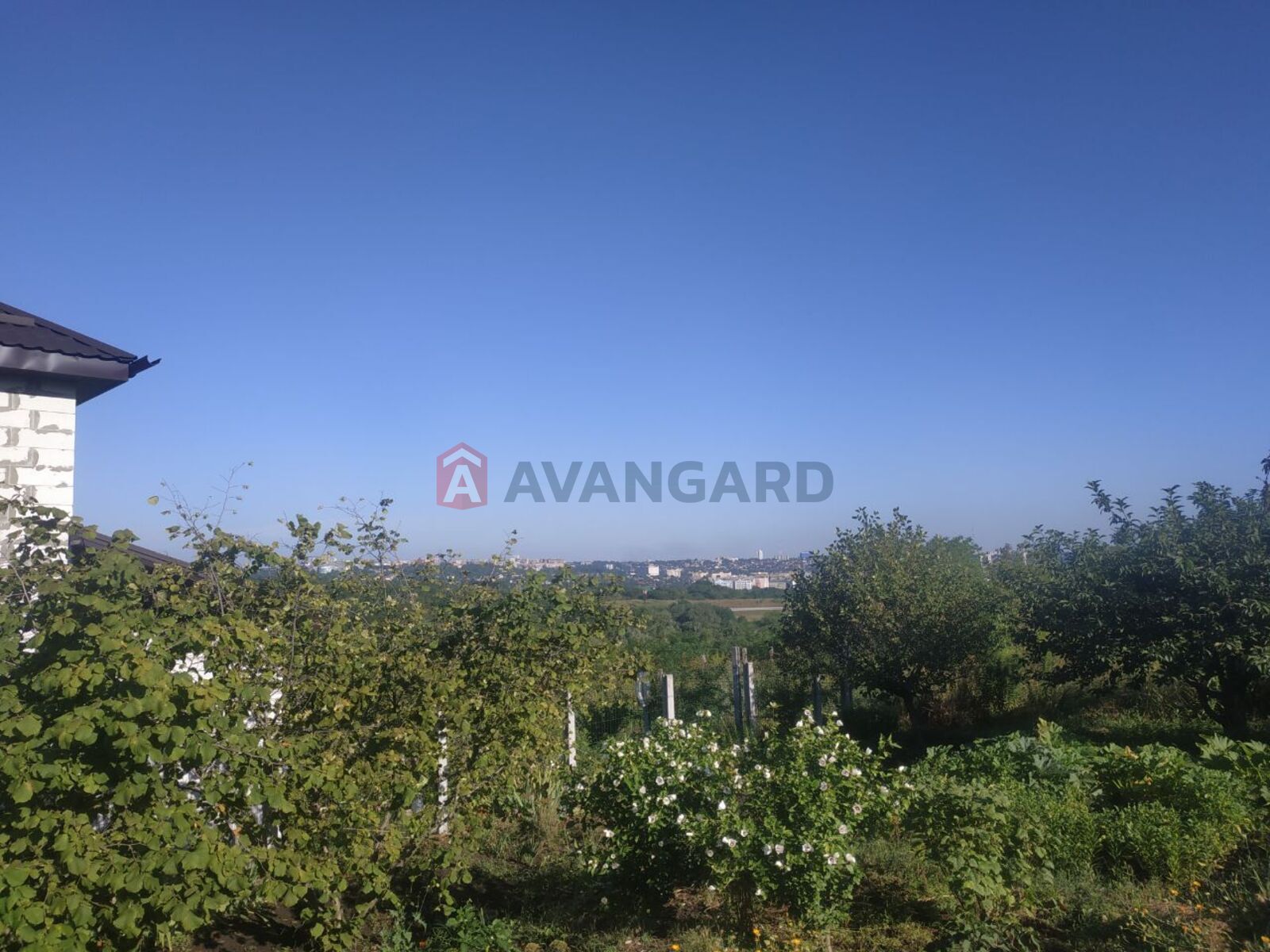 �������� ������ ���� 1