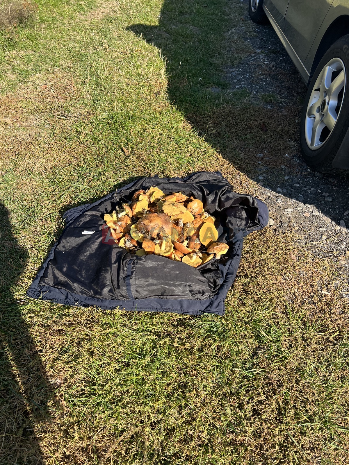 �������� ������ ���� 19
