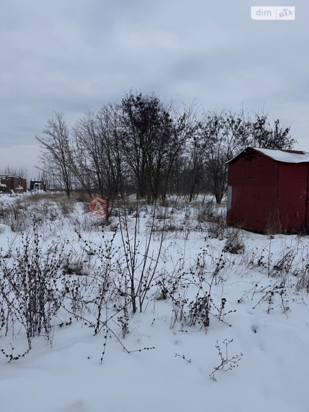 �������� ������ ���� 11