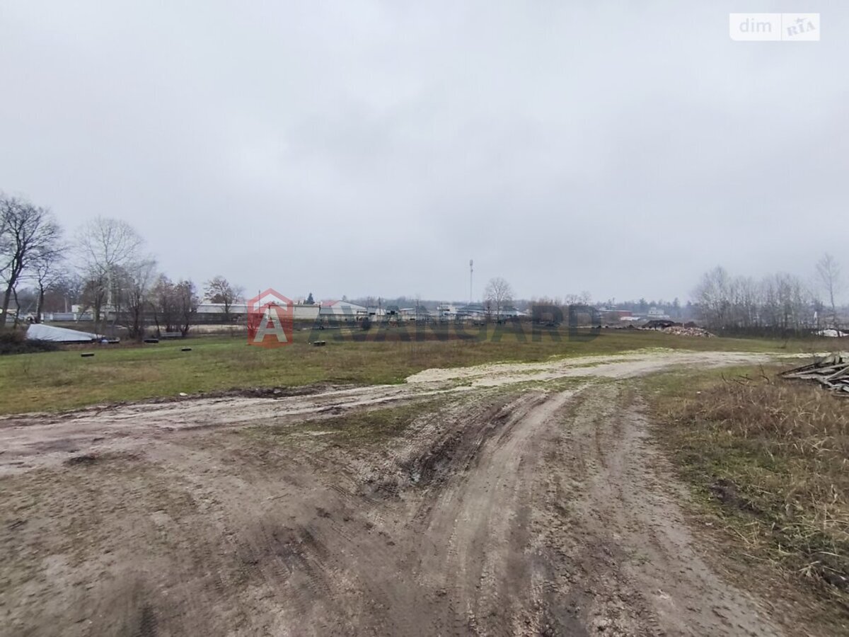 �������� ������ ���� 5