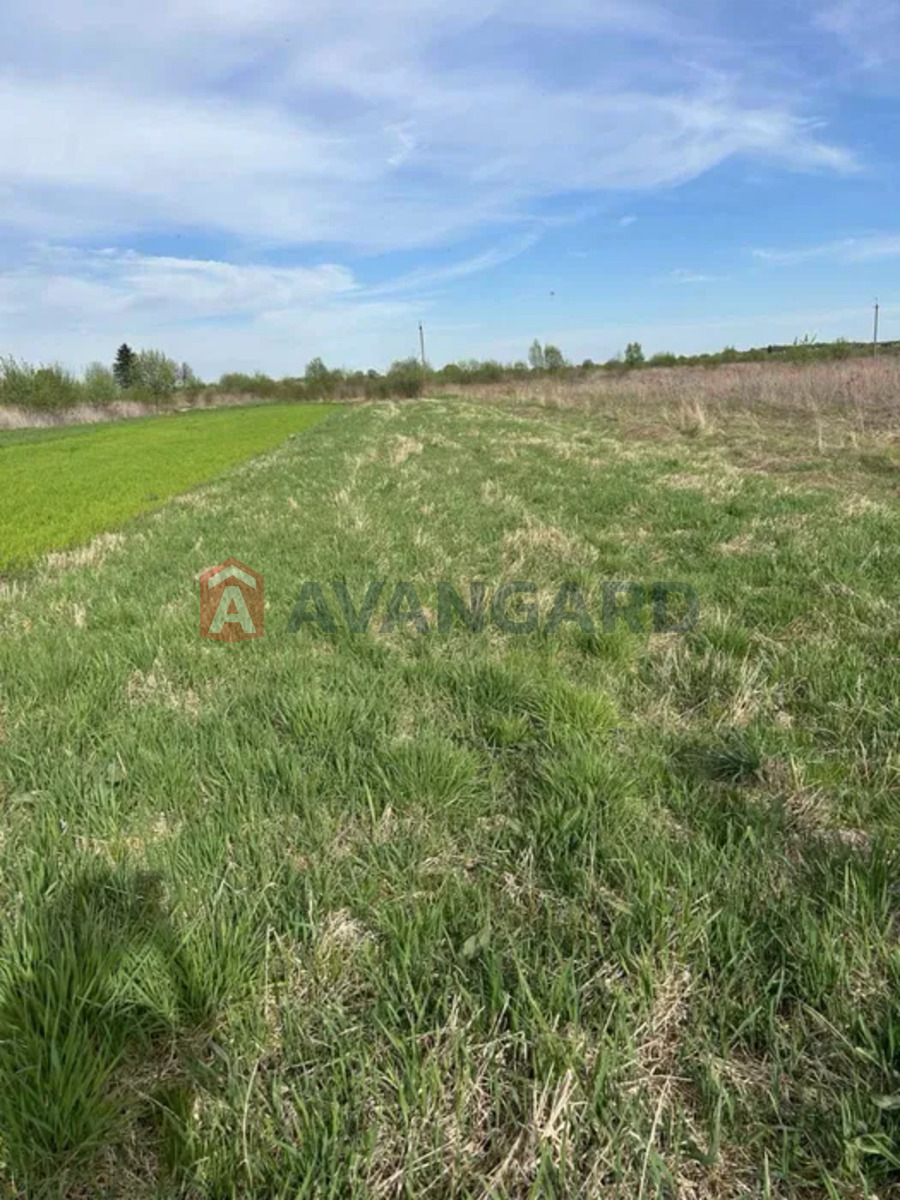 �������� ������ ���� 4