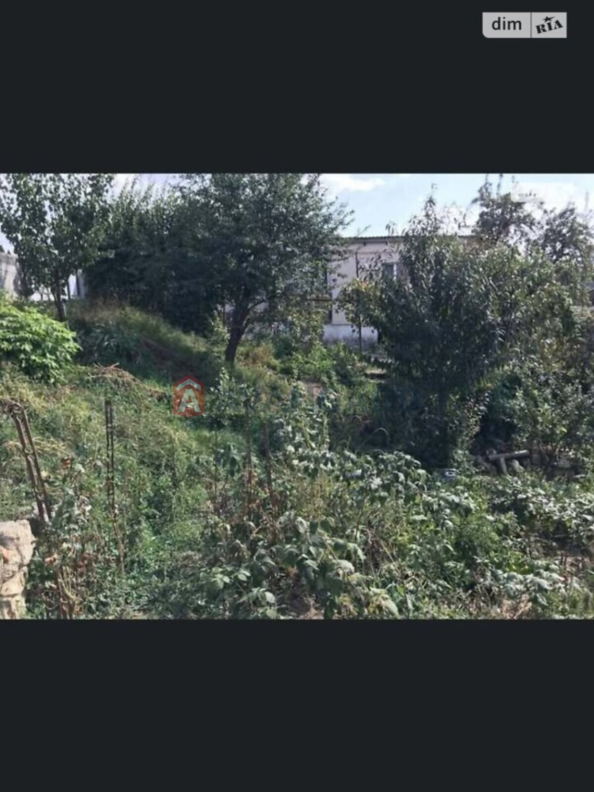 �������� ������ ���� 6